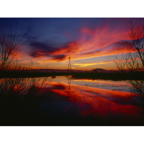 DWR Digital Photographic Prints - Additional Copies